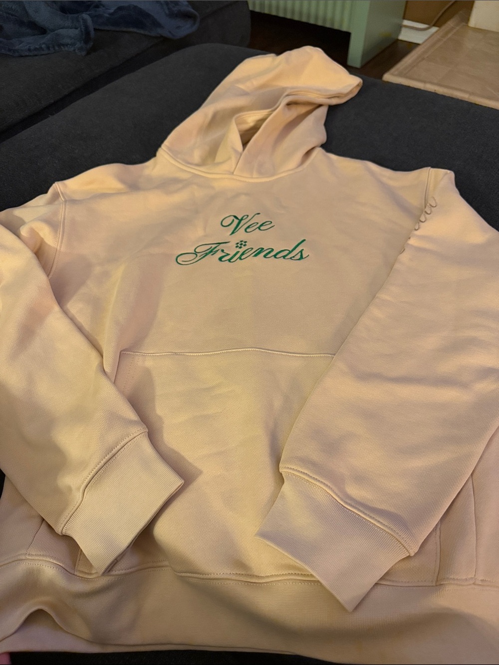 Kim Shui Vee Friends Hoodie- tags on brand new